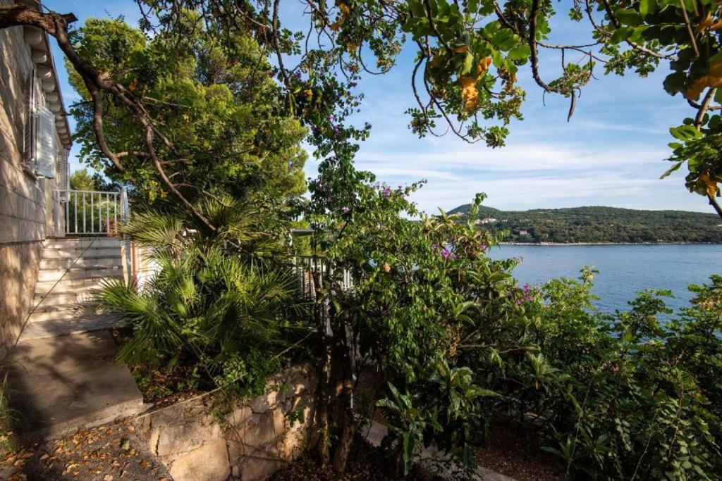 Villa Diamond Sea - Vacation House With Private Parking And A Big Terrace Over The Sea à Dubrovnik Extérieur photo